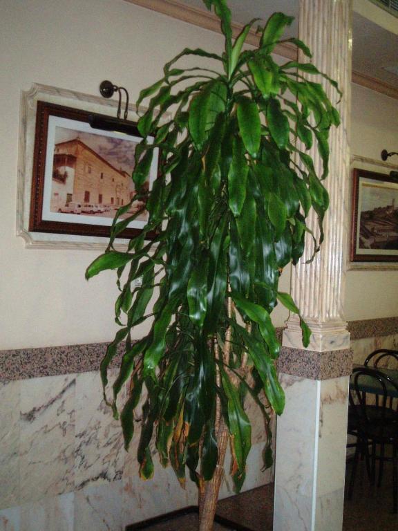 Hotel Los Hermanos โอคานญา ภายนอก รูปภาพ